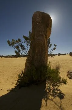 Pinnacles Desert 9 Stock Photos