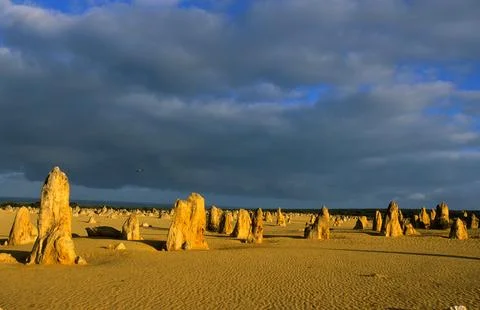 The Pinnacles desert landscape with dramatic clouds and birds. Stock Photos