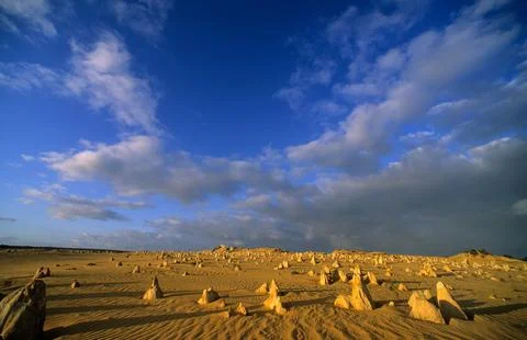 The Pinnacles Desert limestone formations under a dramatic sky. Stock Photos