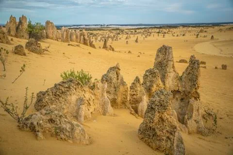 The Pinnacles Desert Stock Photos