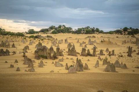 The Pinnacles Desert Stock Photos