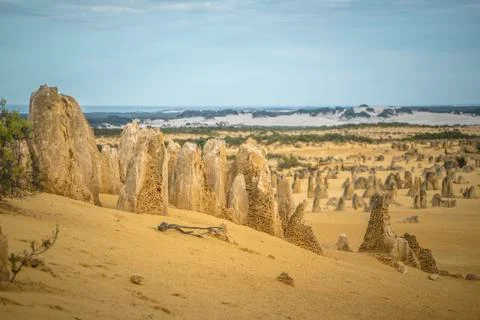 The Pinnacles Desert Stock Photos