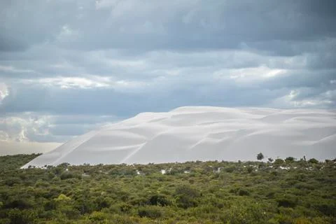 The Pinnacles Desert Stock Photos