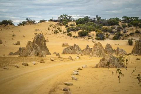 The Pinnacles Desert Foto stock