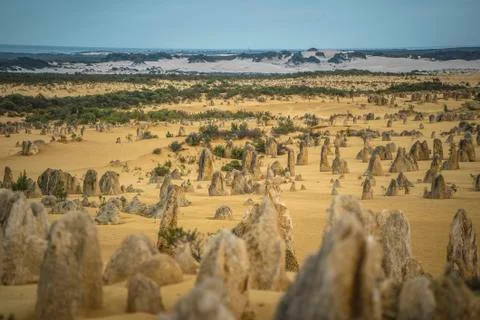 The Pinnacles Desert Fotos Stock