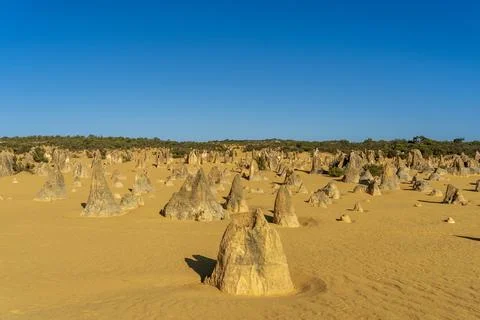 The Pinnacles desert in WA. Stock Photos