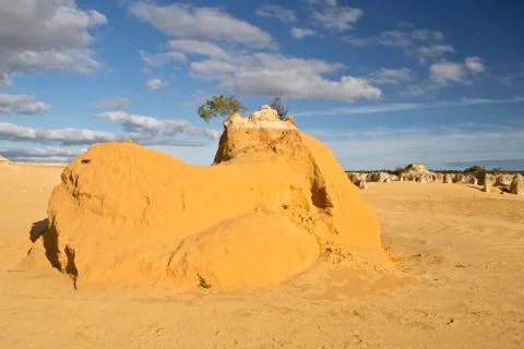 The pinnacles Stock Photos