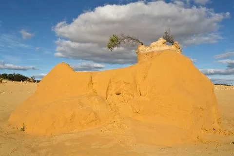 The pinnacles Stock Photos