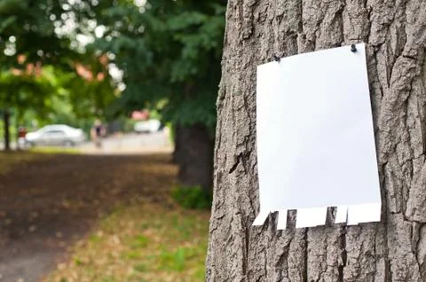 Pinned blank label on tree Stock Photos