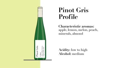 Pinot Gris Video stock 134398747