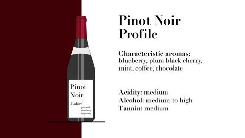 Pinot Noir animation Video stock 134398643