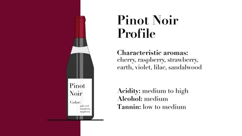Pinot Noir animation Video stock 134398753