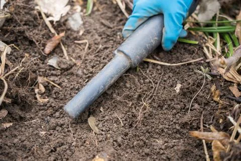 Pinpointer metal detector in digger archaeologist hand and ancient coin. Stock Photos