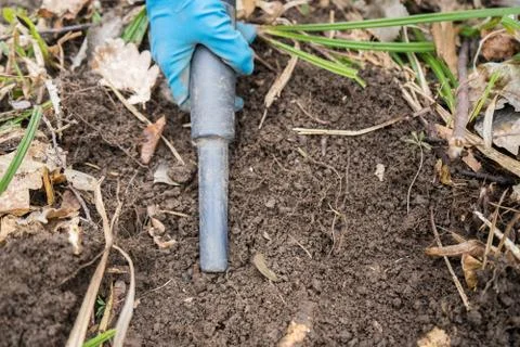 Pinpointer metal detector in digger archaeologist hand and ancient coin. Stock Photos