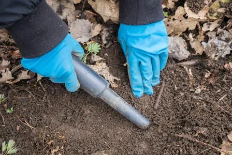 Pinpointer metal detector in digger archaeologist hand and ancient coin. Foto stock