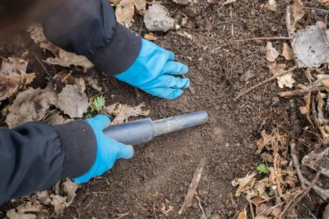 Pinpointer metal detector in digger archaeologist hand and ancient coin. Foto stock