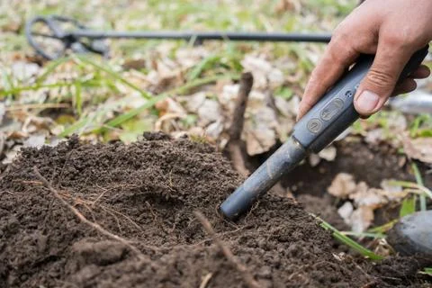 Pinpointer metal detector in hand. Search coins with a pinpointer Foto stock