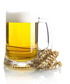 Pint of beer on table with ears of wheat isolated on white background Stock Photos