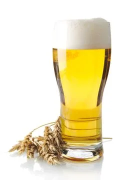 Pint of beer on table with ears of wheat isolated on white background Stock Photos