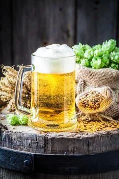 Pint of light beer and big foam. Brewing industry. Stock Photos