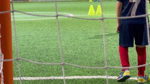 Pint-Sized Players: 7-Year-Olds Gear Up for Football Fame Stock Footage 265202942