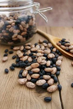 Pinto and black turtle beans Stock Photos