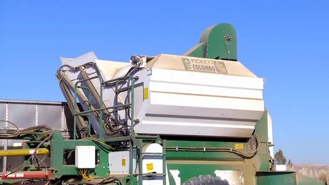 Pinto bean farm harvesting machine dumping beans Stock Footage 112729793