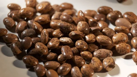 Pinto Bean Grains slow motion Rotating. Stock Footage 101074981