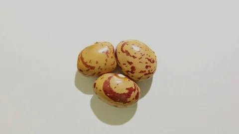 Pinto bean macro shot Rotating Turning Stock Footage 126081122