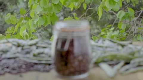 Pinto bean storage in nature, advertisement with copy space, background, 4k 3 Stock Footage 341763393