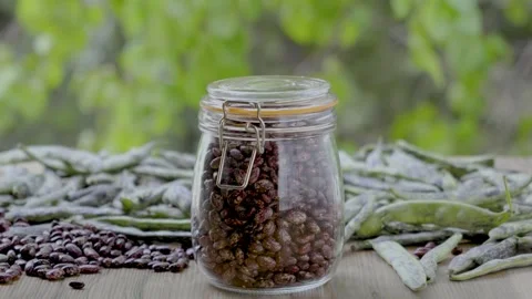 Pinto bean storage in nature, advertisement with copy space, foreground, 4k 1 Stock Footage 341763525