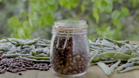 Pinto bean storage in nature, advertisement with copy space, mid-ground, 4k 2 Stock Footage 341763976