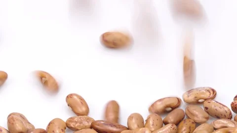 Pinto bean on white background falling from top and filling up frame. Stock Footage 108441490