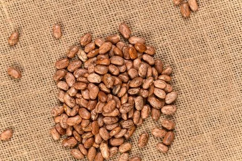 Pinto Beans Background and Texture Stock Photos