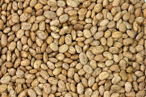 Pinto beans background Stock Photos