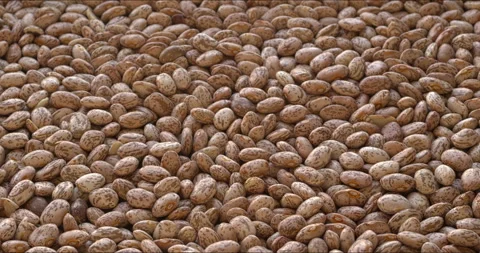 Pinto beans background texture. Camera slide. Stock-Footage 327814801