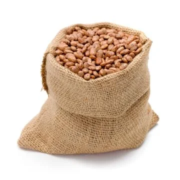 Pinto beans in burlap bag Stock Photos