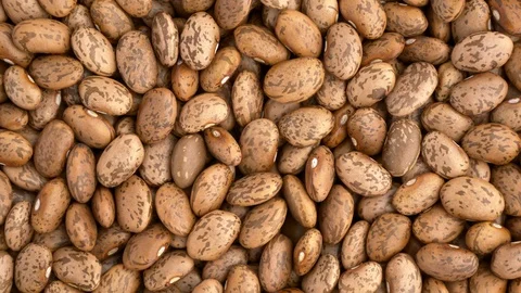 Pinto beans closeup overhead rotation Stock Footage 86661035