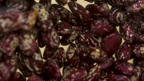 Pinto beans floating in water macro backlight 10bit Видео 333540743