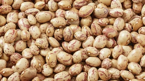 Pinto beans Stock Footage 71069830