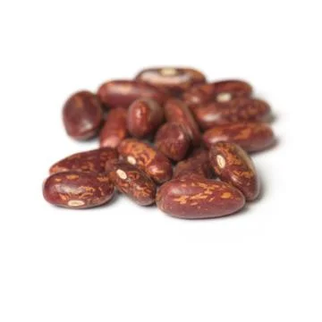 Pinto beans isolated on white background close-up Stock Photos