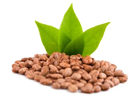 Pinto-beans, isolated on white background Stock Photos