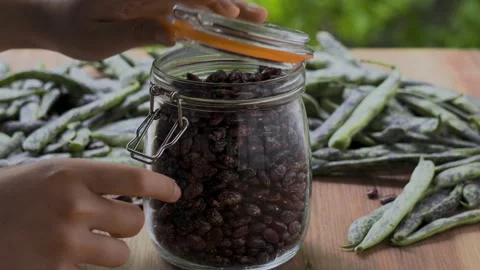 Pinto beans jar closed by hands on wooden table with leaves background, 4K 스톡 동영상 341619171