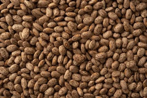 Pinto beans macro close up Foto stock