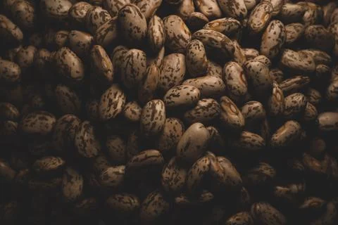 Pinto beans macro close up Stock Photos