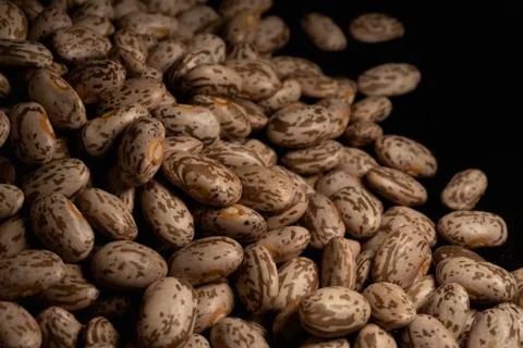 Pinto beans macro close up Stock Photos
