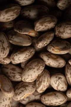 Pinto beans macro close up Stock Photos
