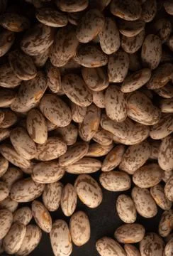 Pinto beans macro close up Stock Photos