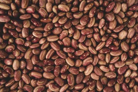 Pinto beans macro close up Stock Photos