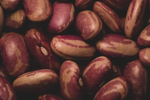 Pinto beans macro close up Stock Photos